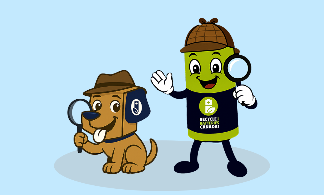 image de couverture des mascottes Futé et Boîtou